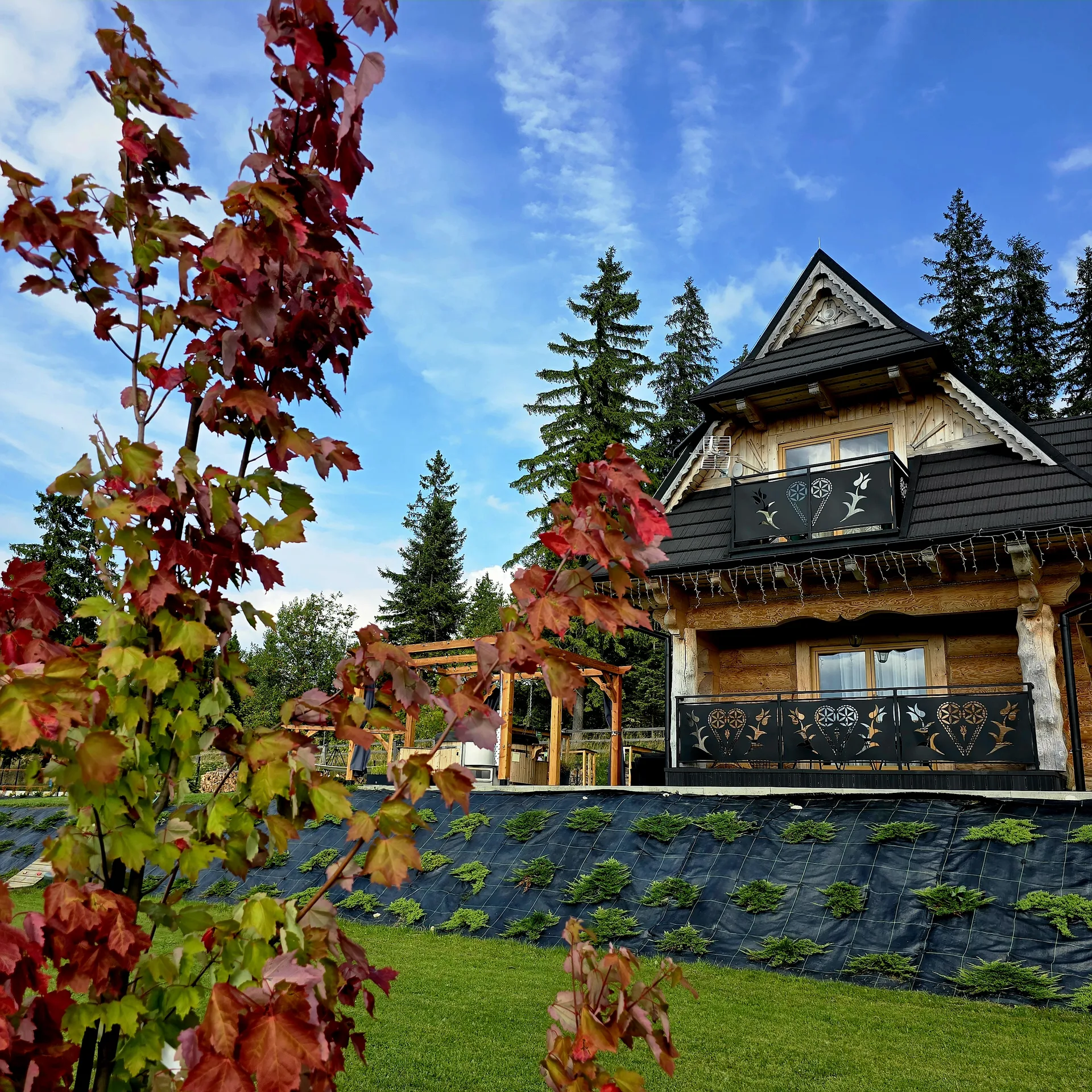 Letni widok na domek z ogrodu